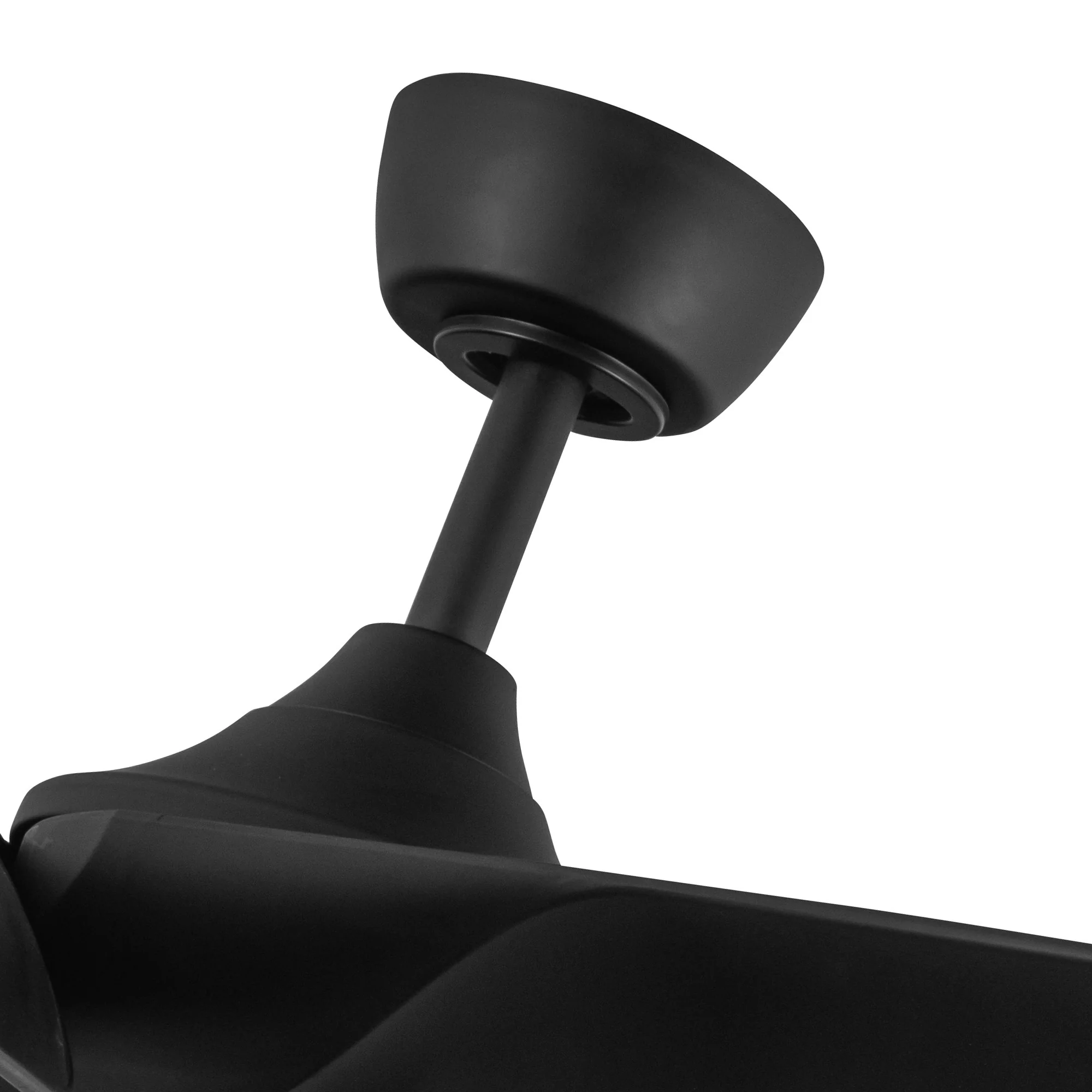 6 Blades - Coronado Fan - Image 5