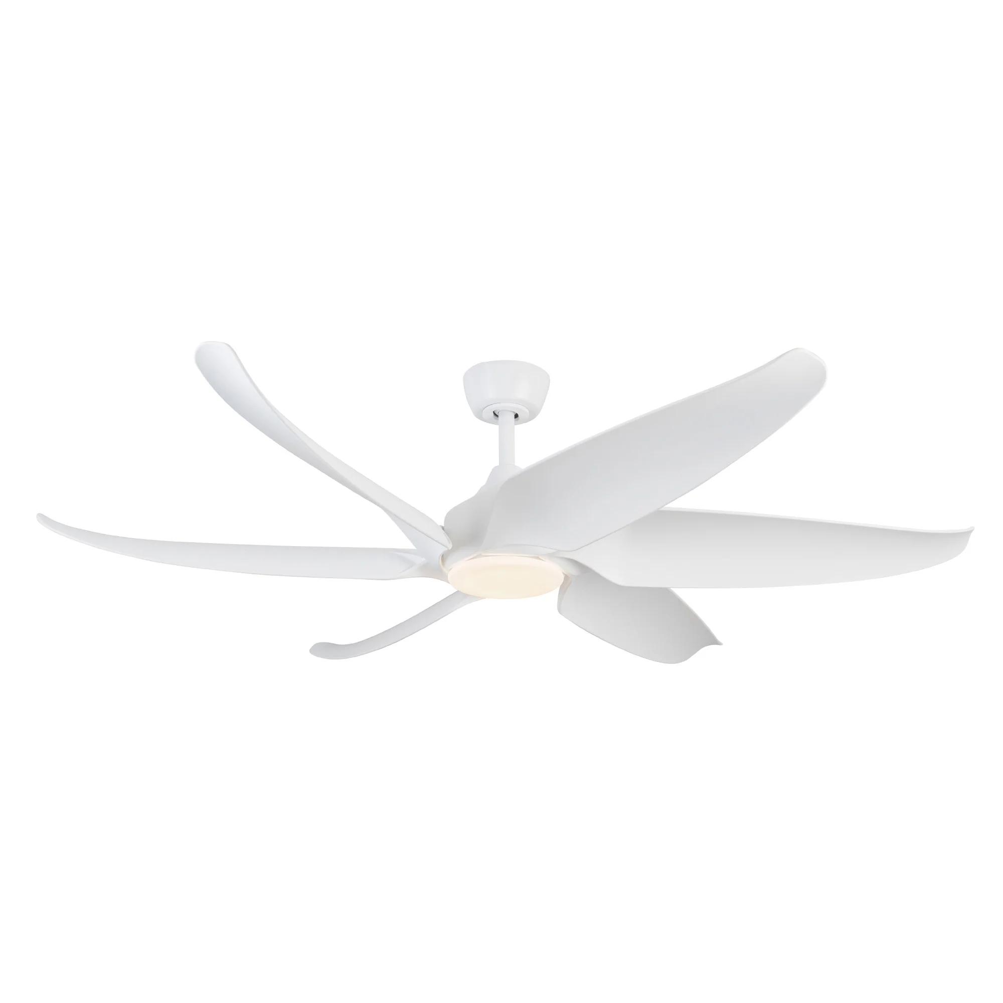 6 Blades - Coronado Fan - Image 6
