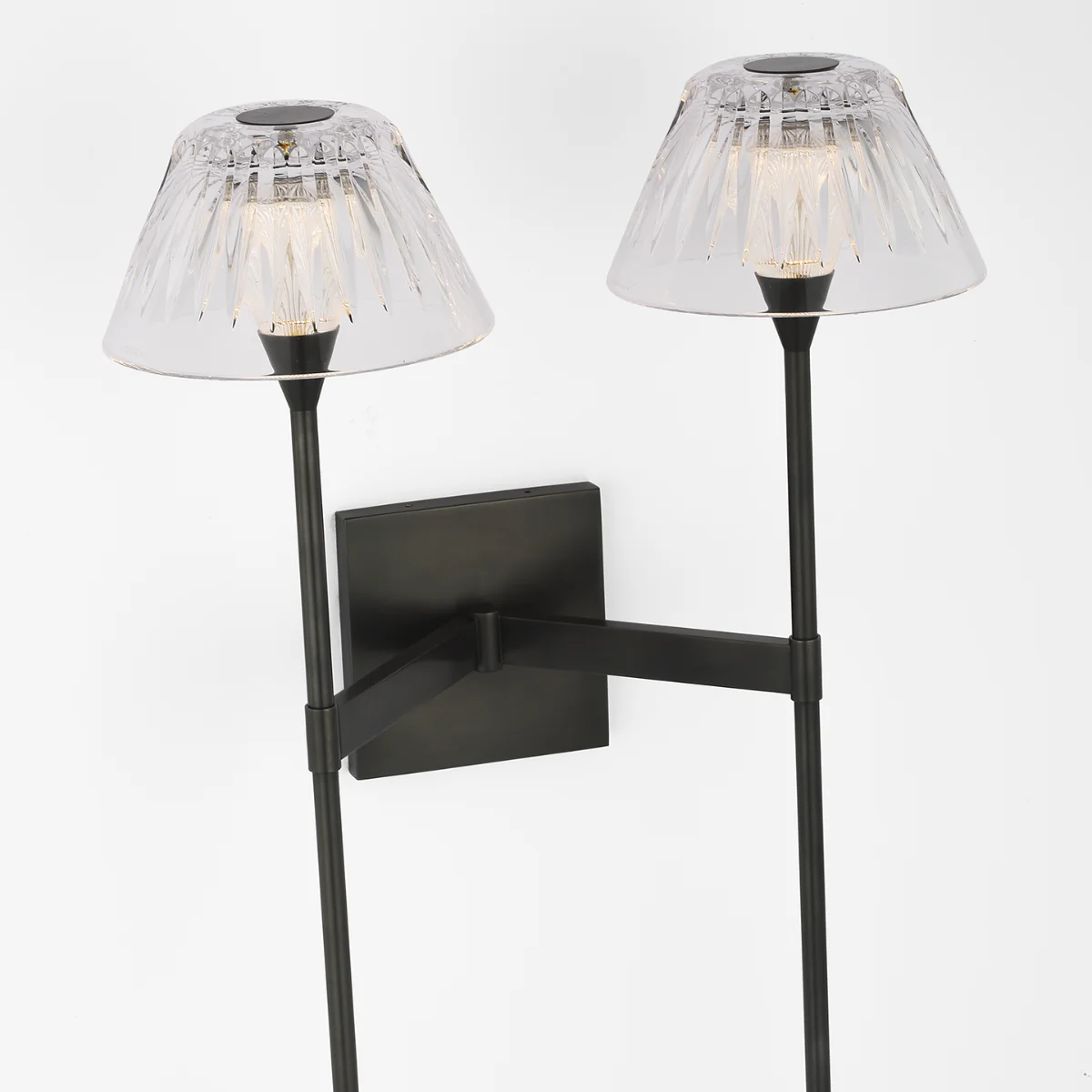 Blaze 19" 2 Light Tail Sconce - Image 6