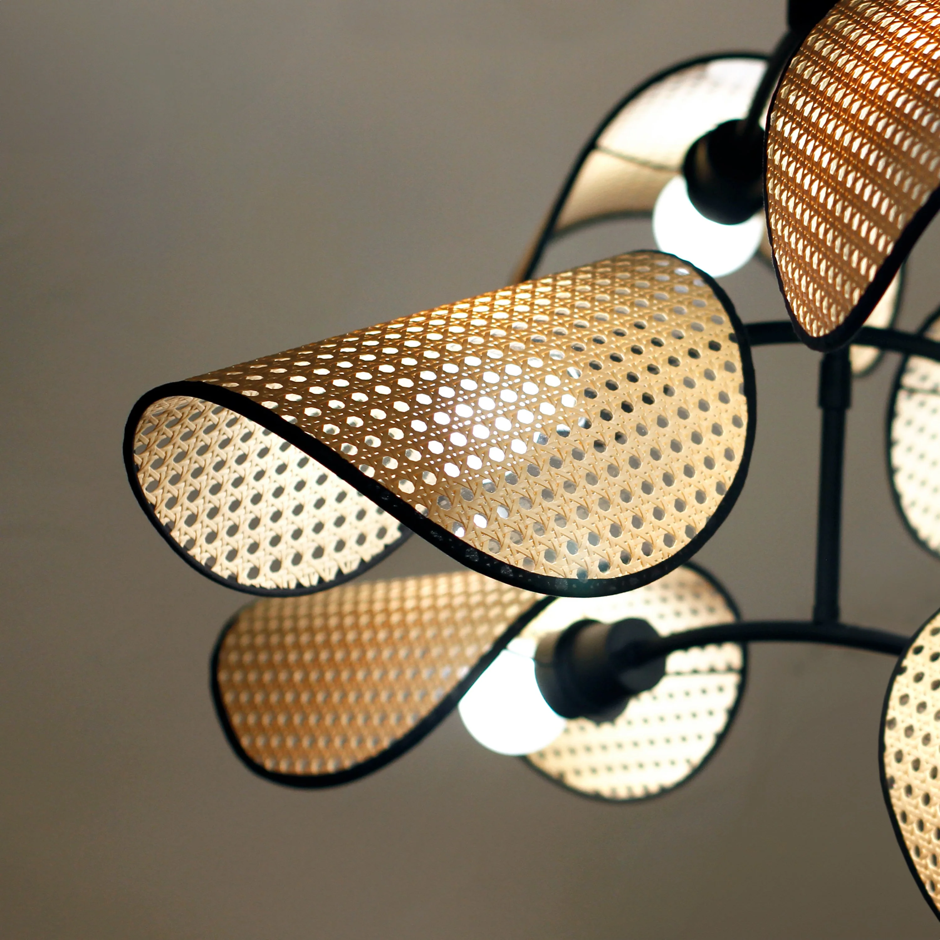 Bonnet 6-Light Chandelier - Image 3