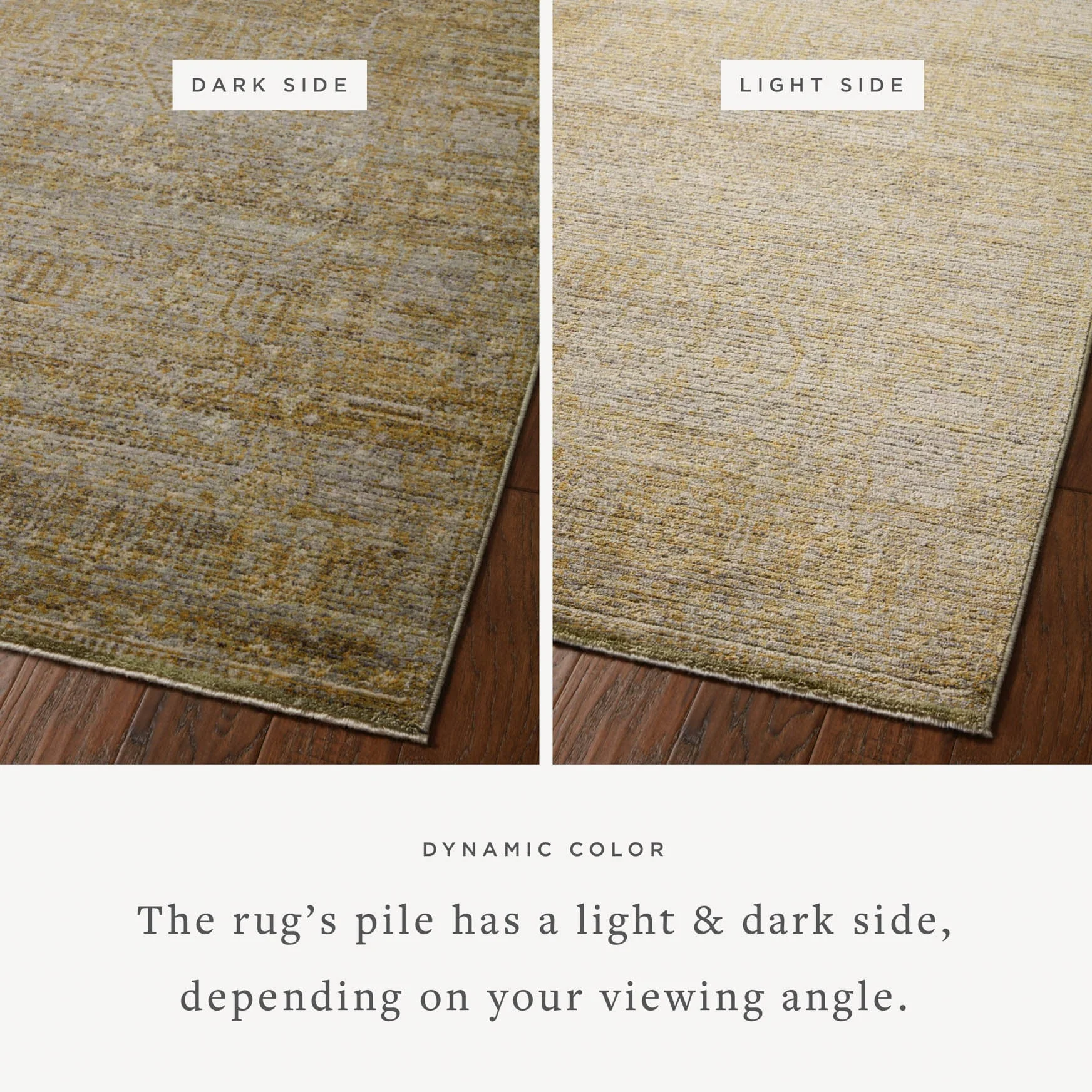Bradbury Dove / Gold Rug | Jean Stoffer x Loloi - Image 7