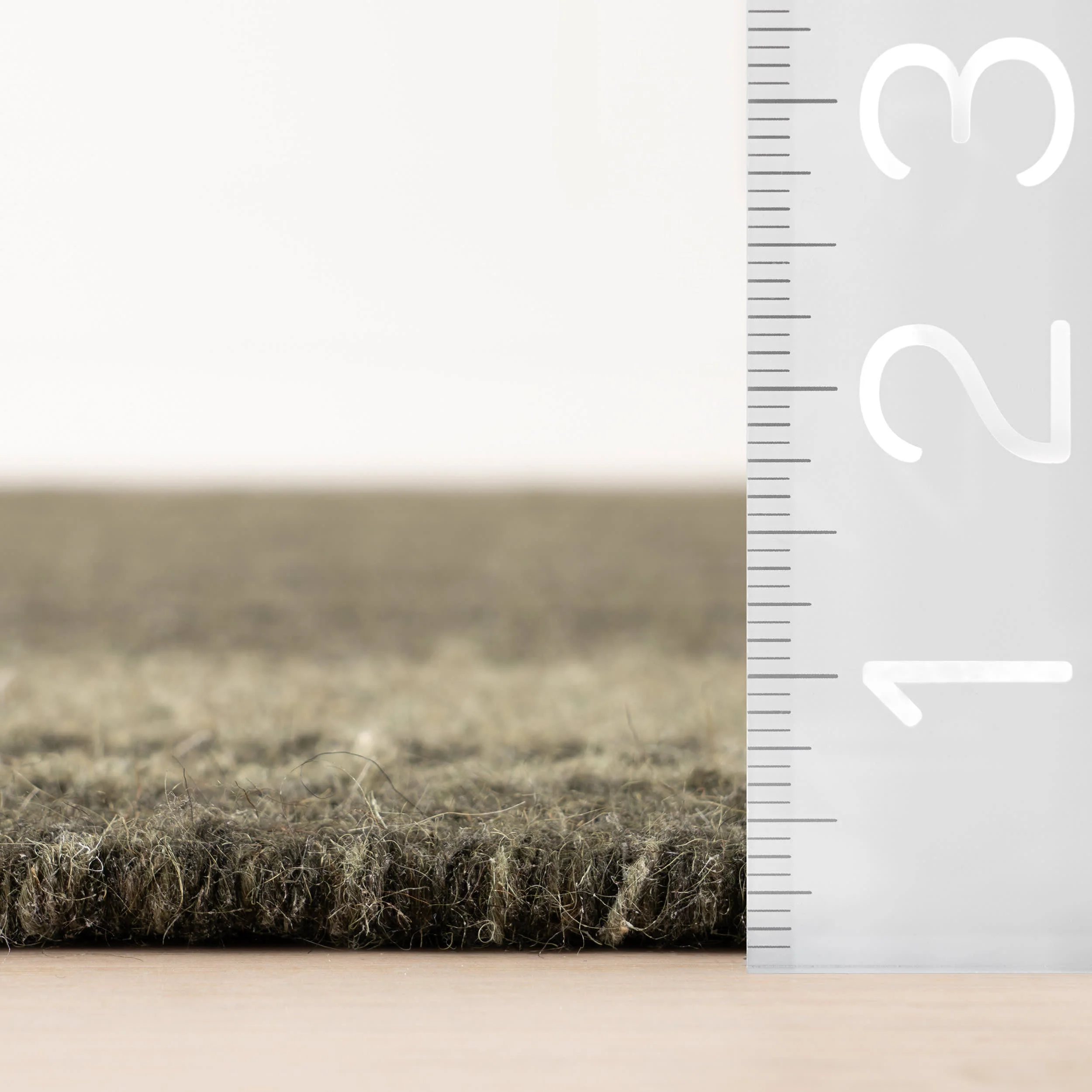 Canon Bordered Wool Rug by Nate Berkus | Green - Image 6