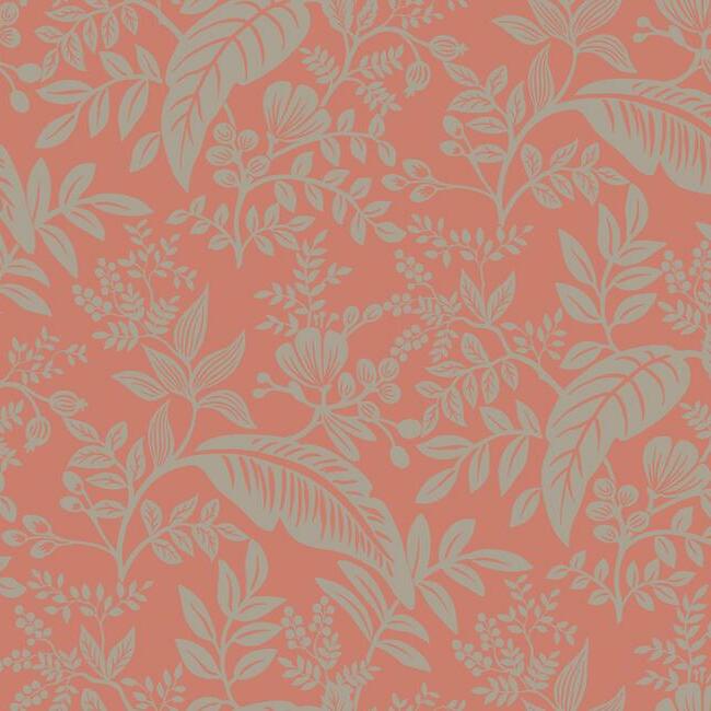 Canopy Wallpaper