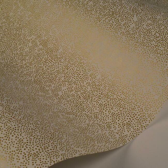 Champagne Dots Wallpaper - Image 9
