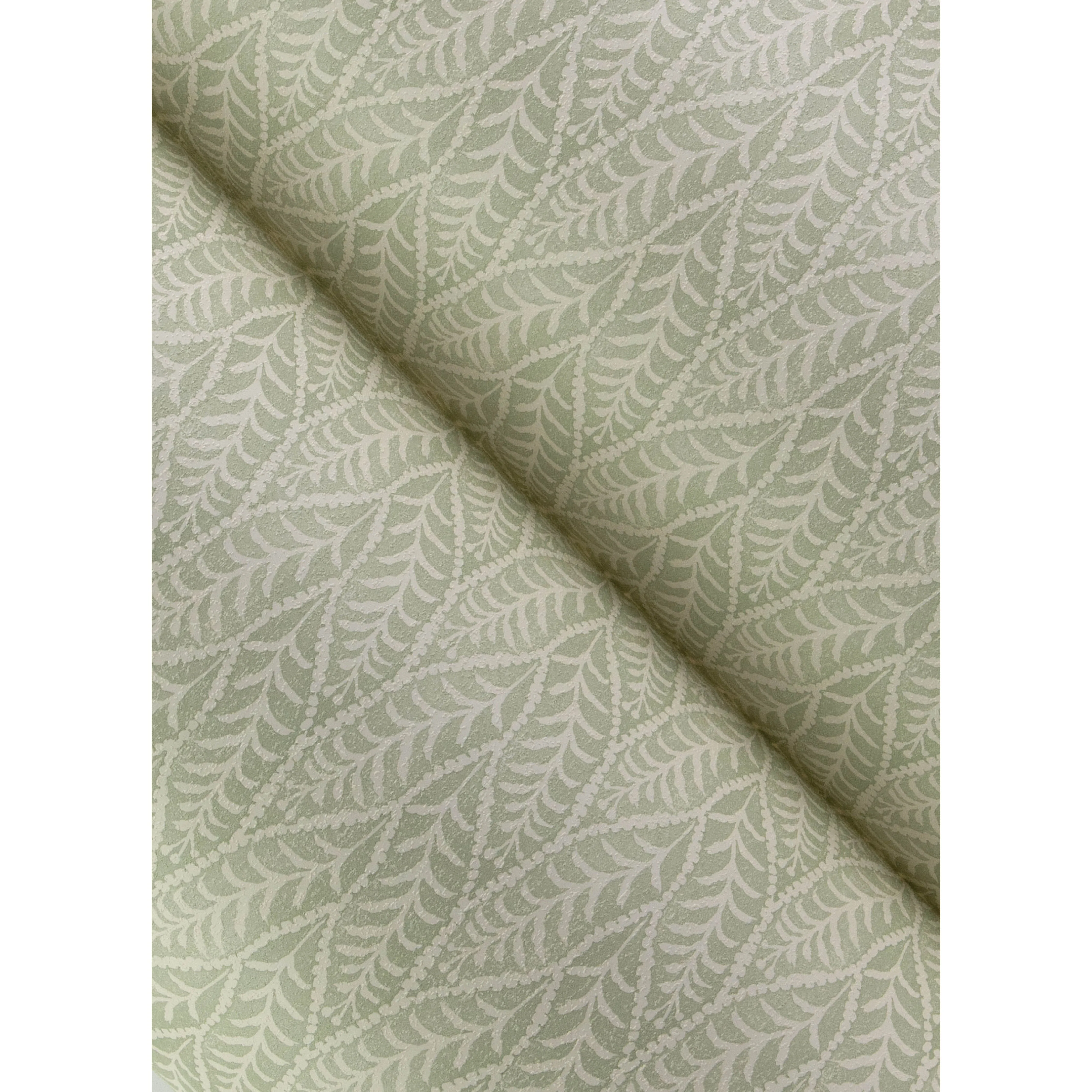 Coleus Wallpaper - Image 15