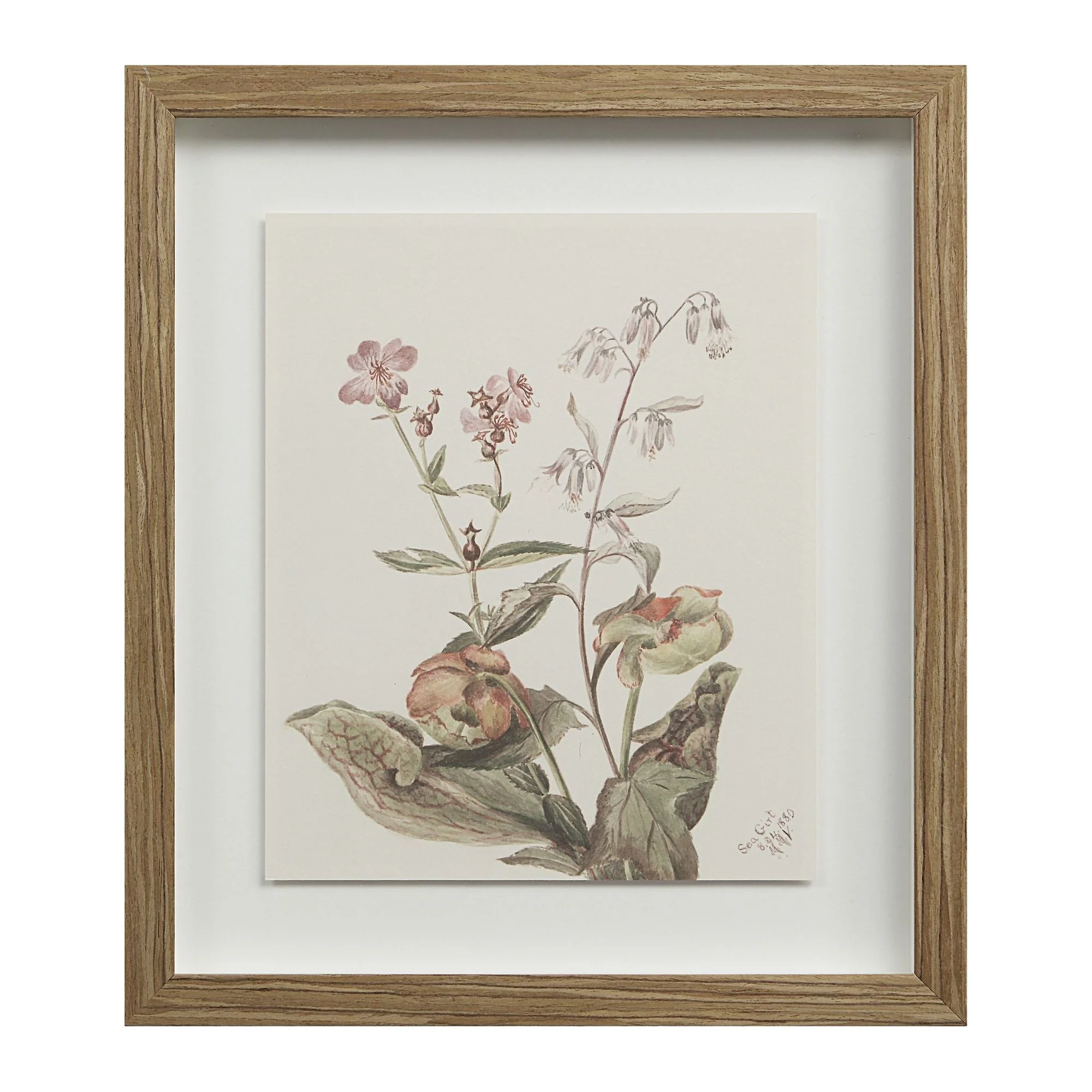 Crema Wall Art (Set of 9) - Image 21