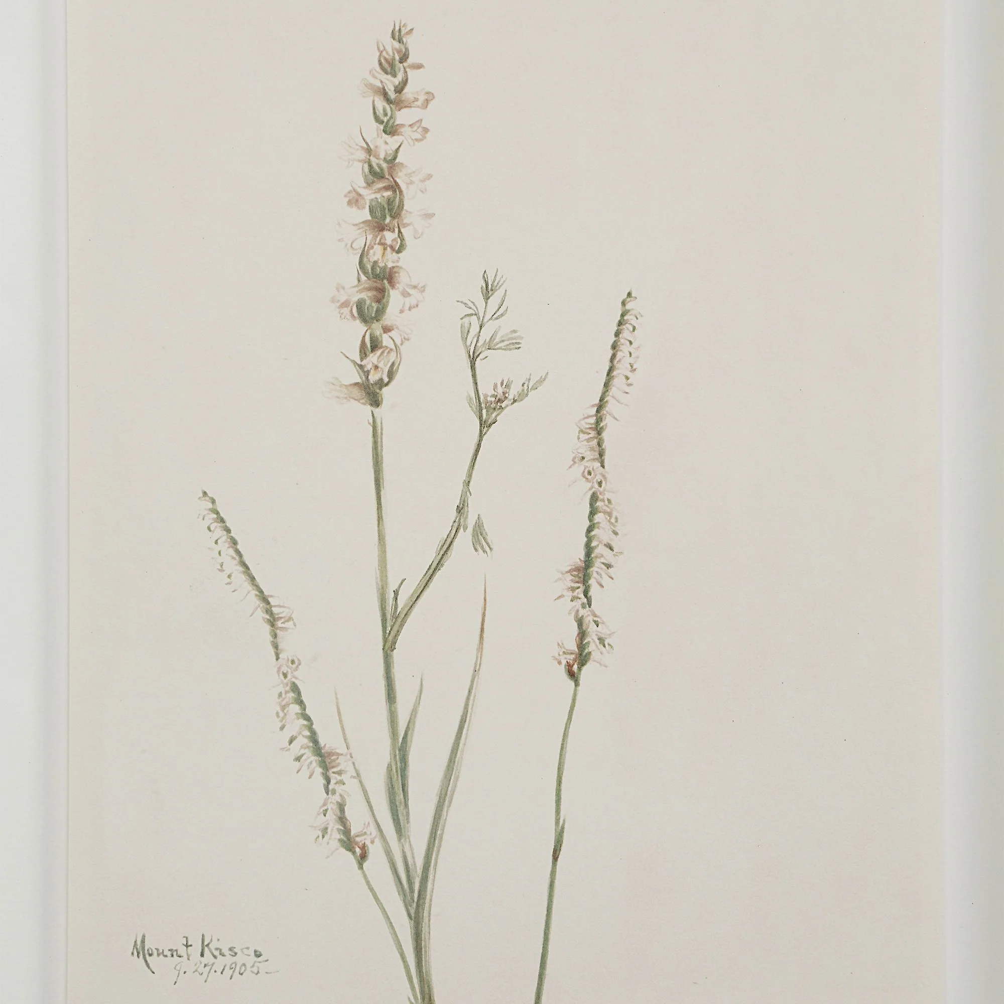 Crema Wall Art (Set of 9) - Image 33