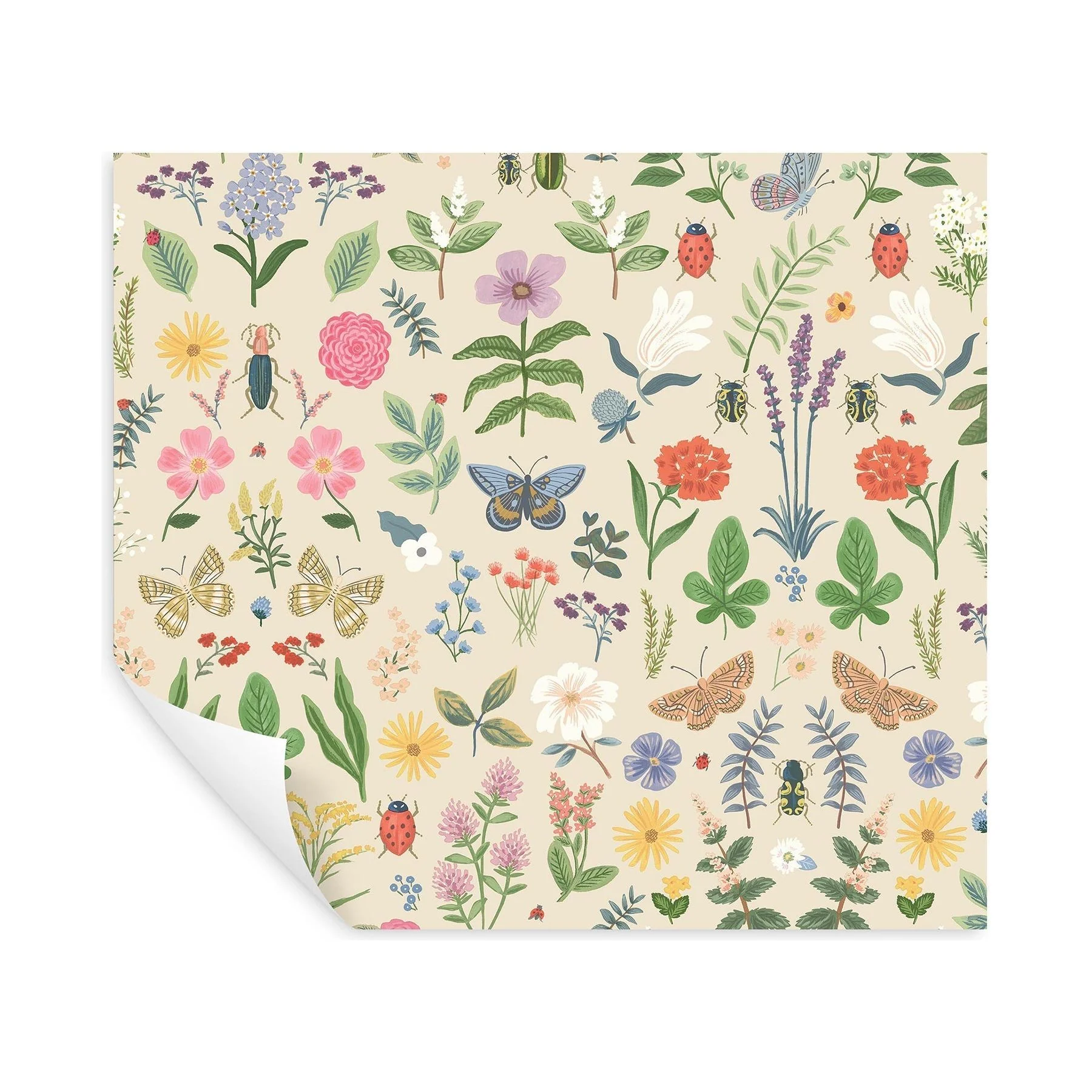 Curio Peel + Stick Wallpaper - Image 17