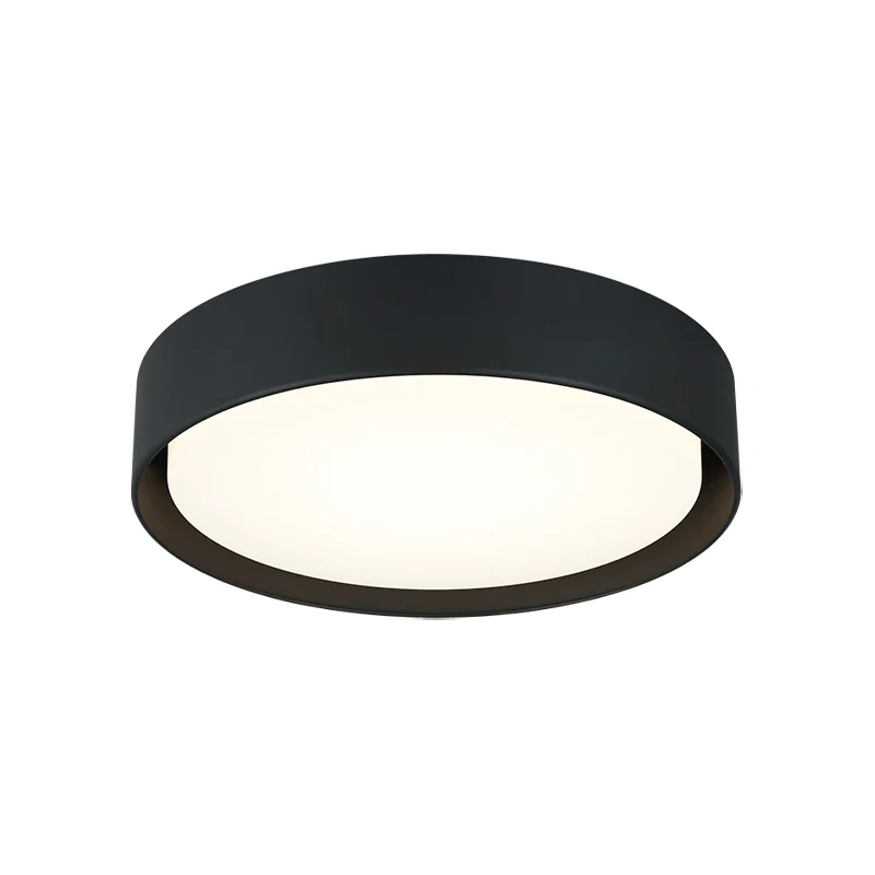 Ezra Ceiling Mount - Image 5