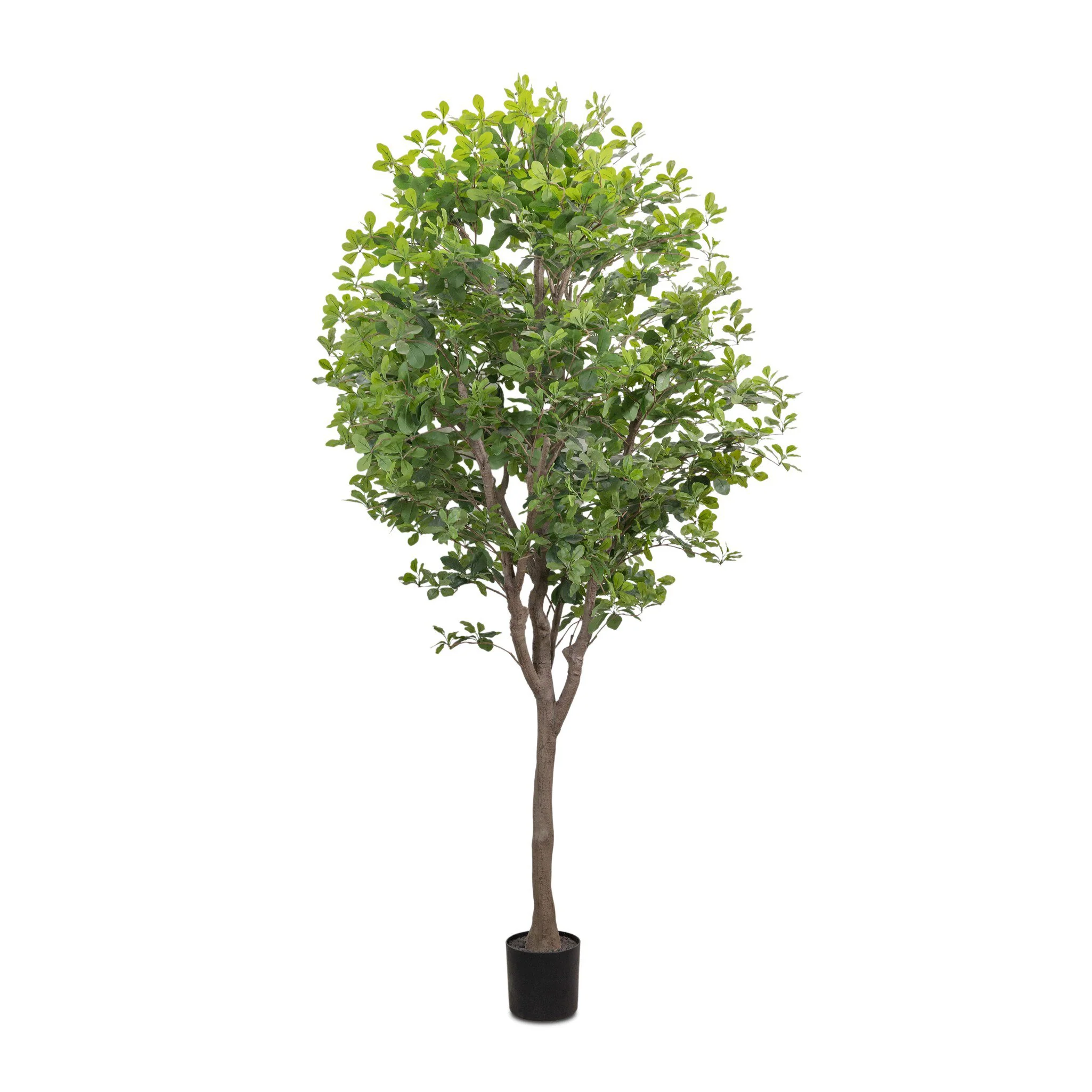 Faux Aralia Tree - Image 17