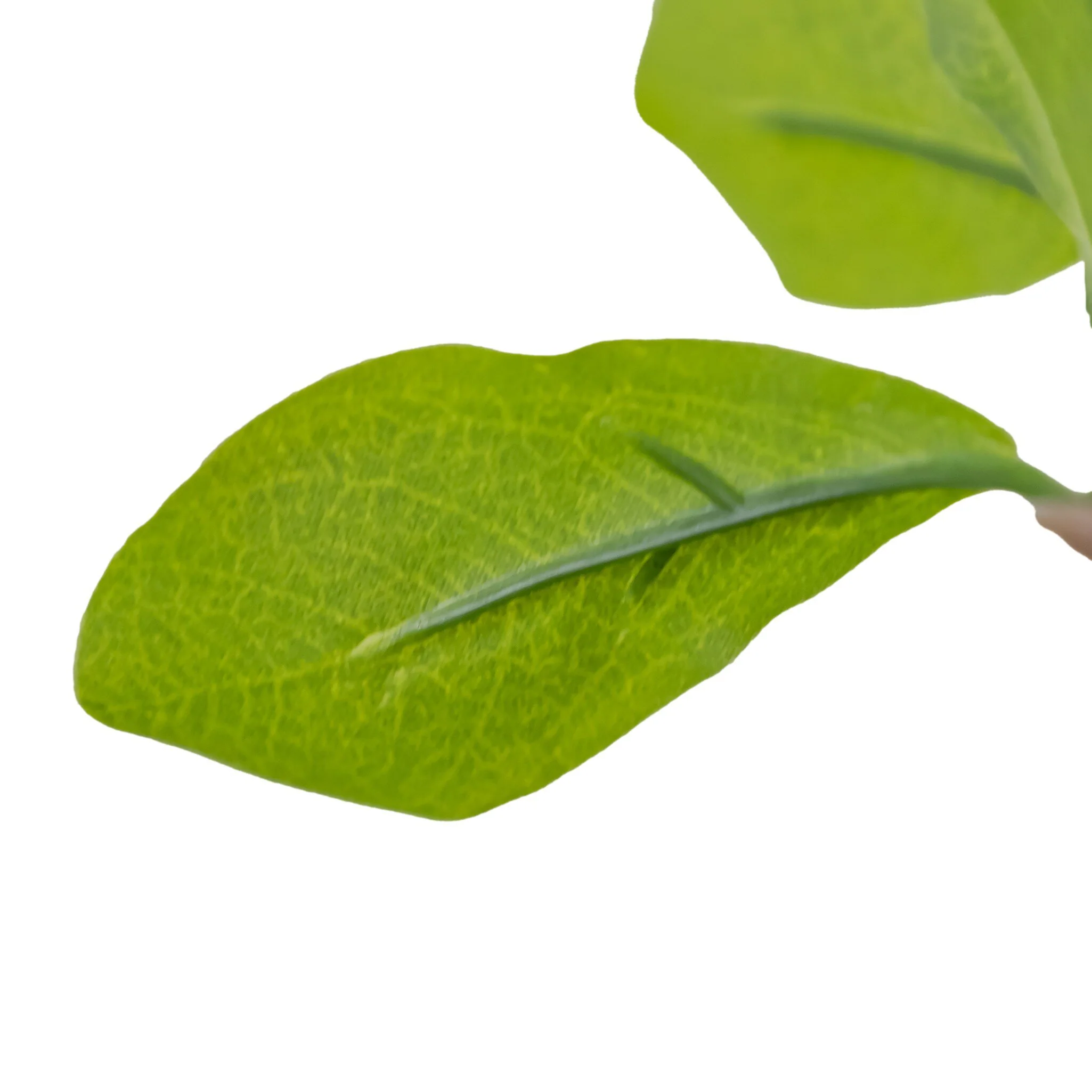 Faux Aralia Tree - Image 8