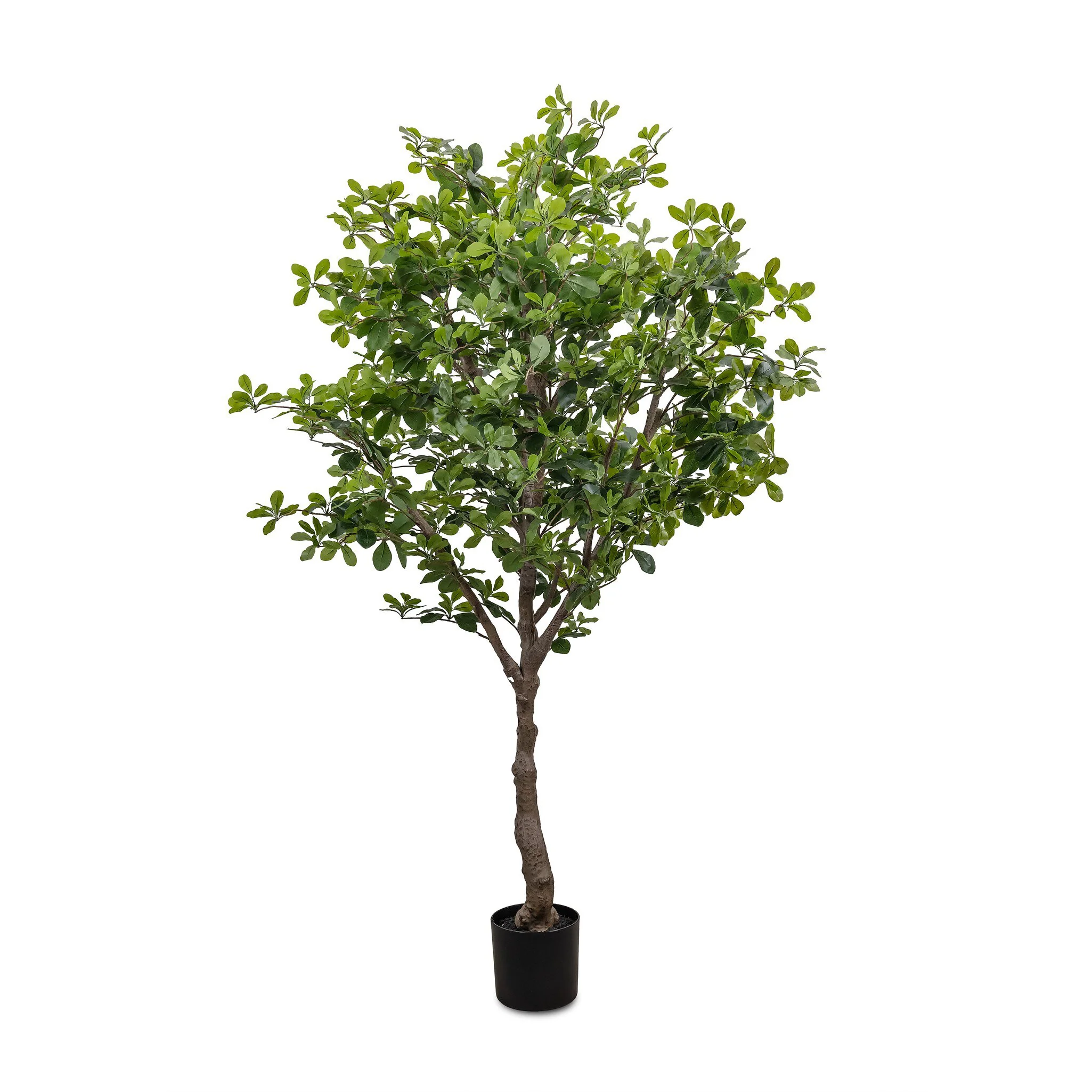Faux Aralia Tree - Image 9