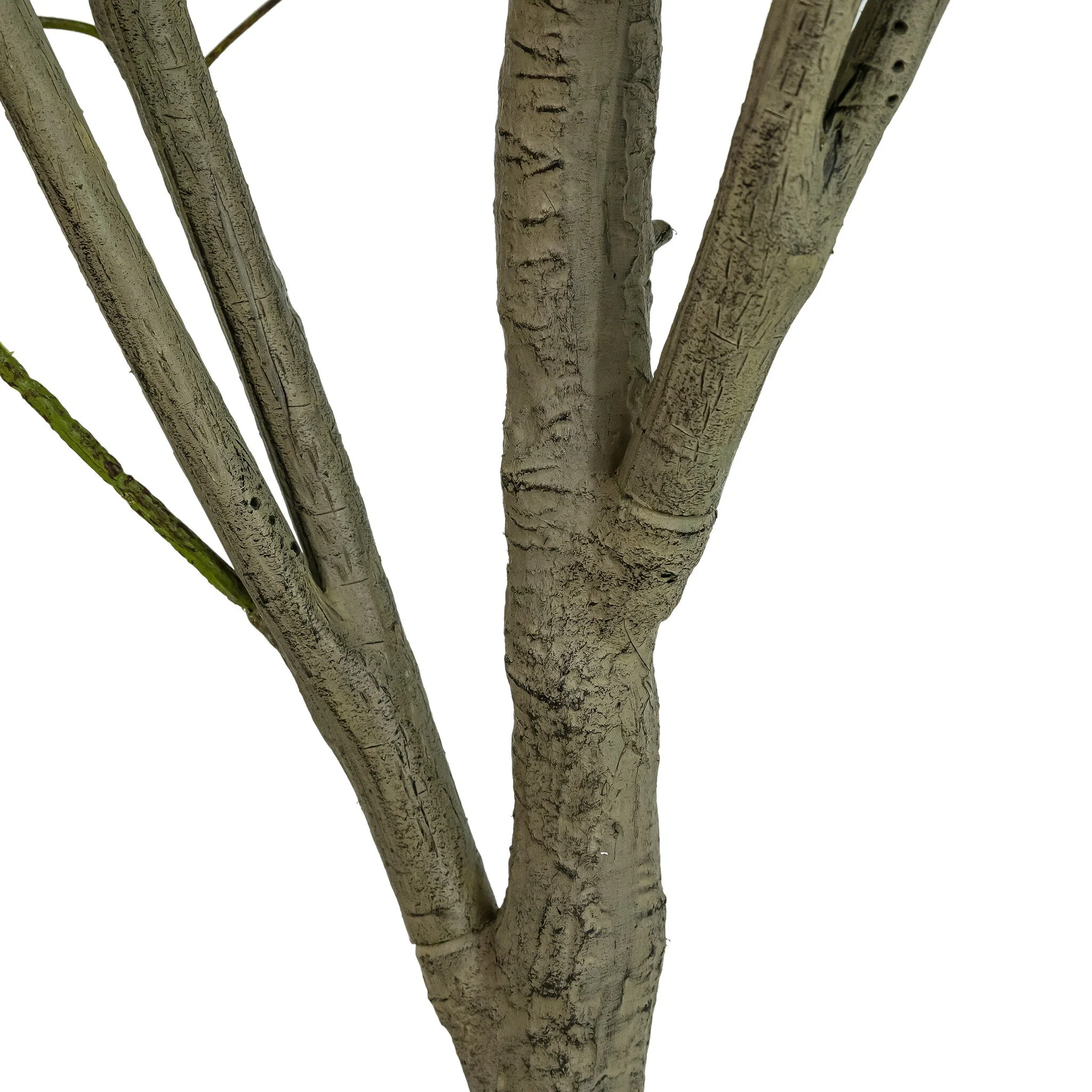 Faux Eucalyptus Tree - Image 12