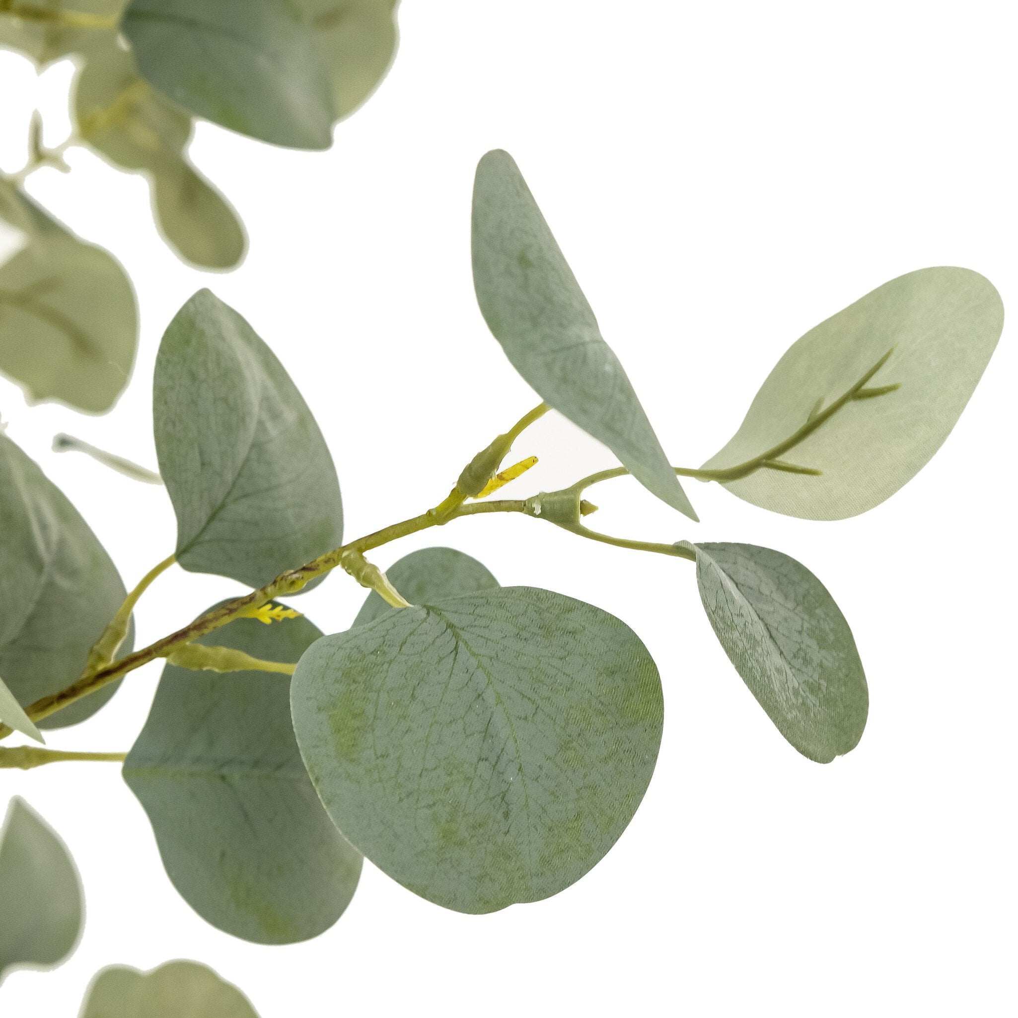 Faux Eucalyptus Tree - Image 15