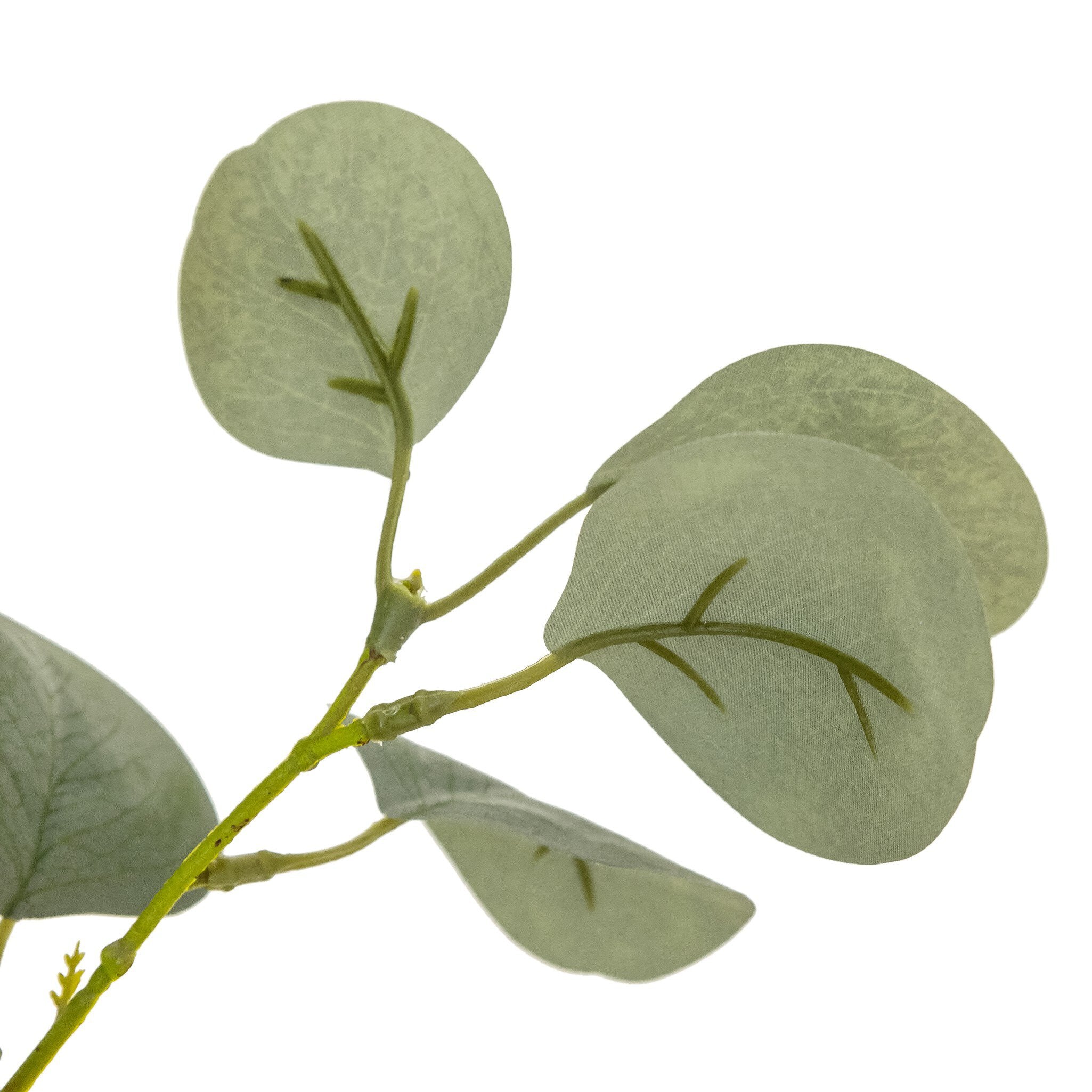 Faux Eucalyptus Tree - Image 16