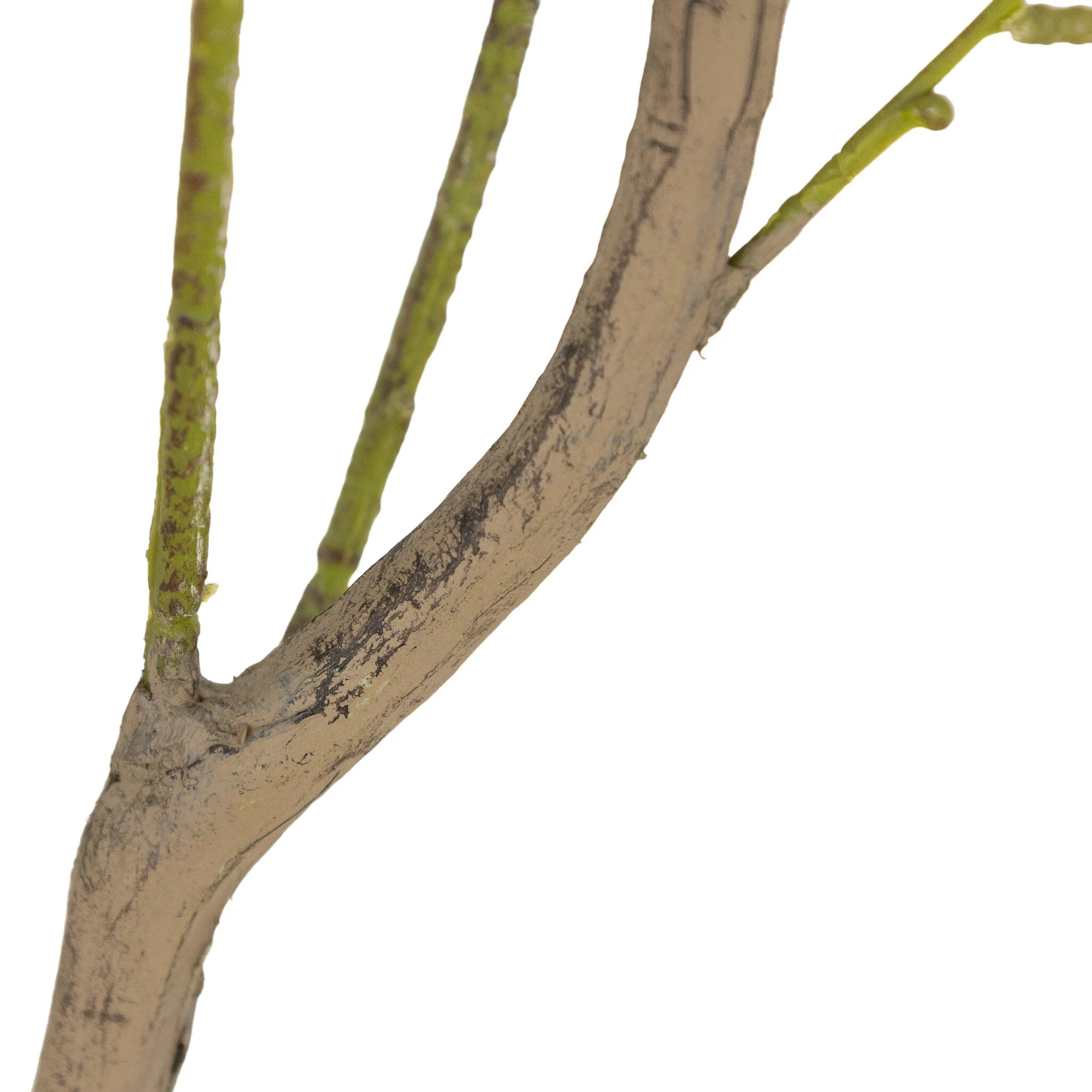 Faux Eucalyptus Tree - Image 5