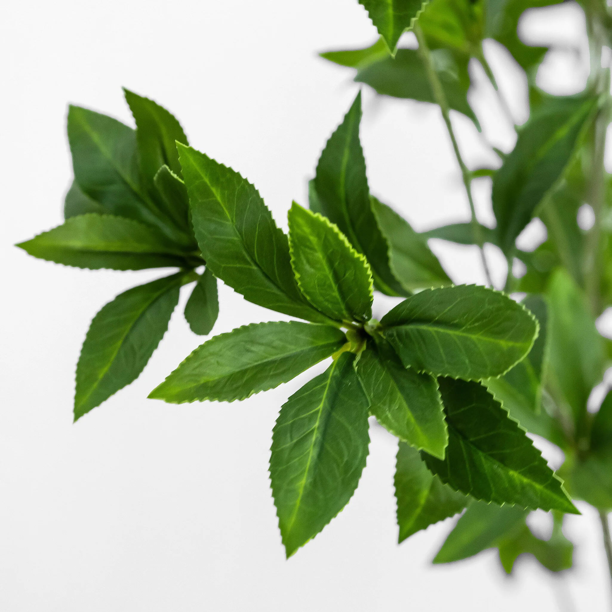 Faux Pieris Tree - Image 6