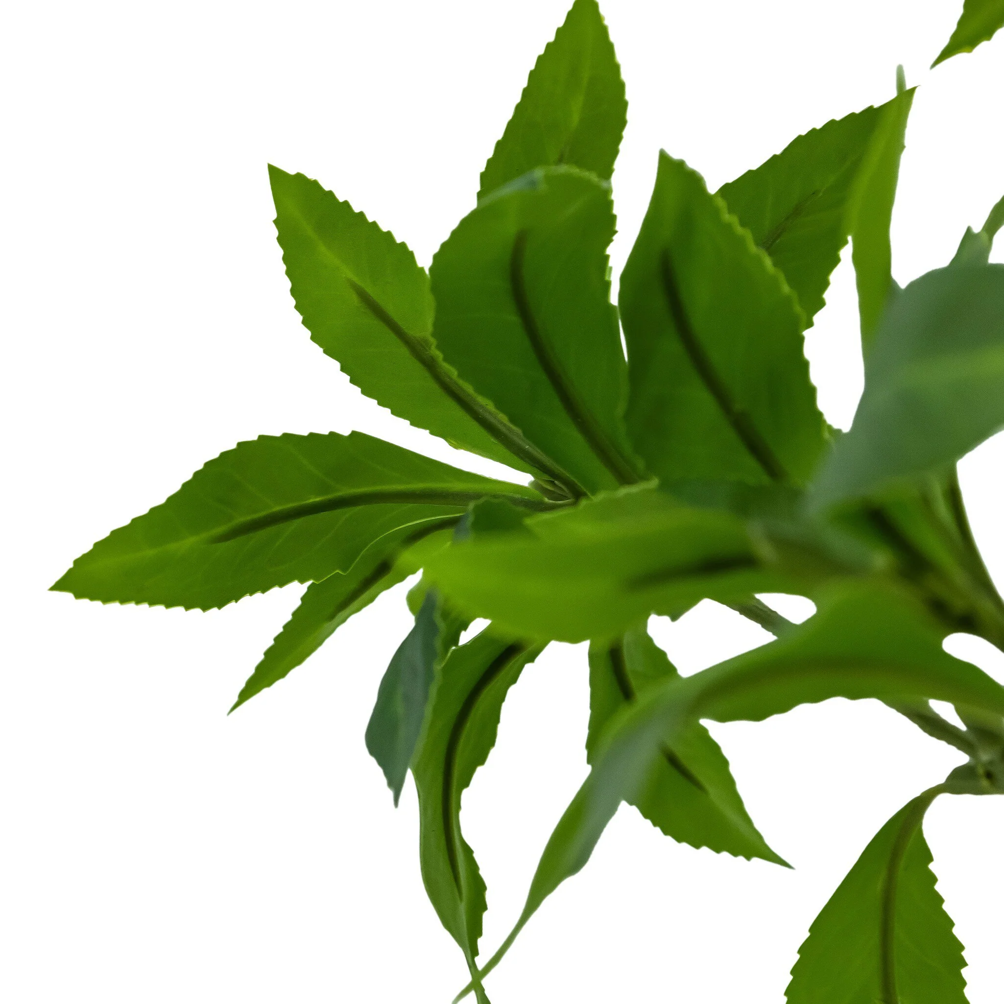 Faux Pieris Tree - Image 7