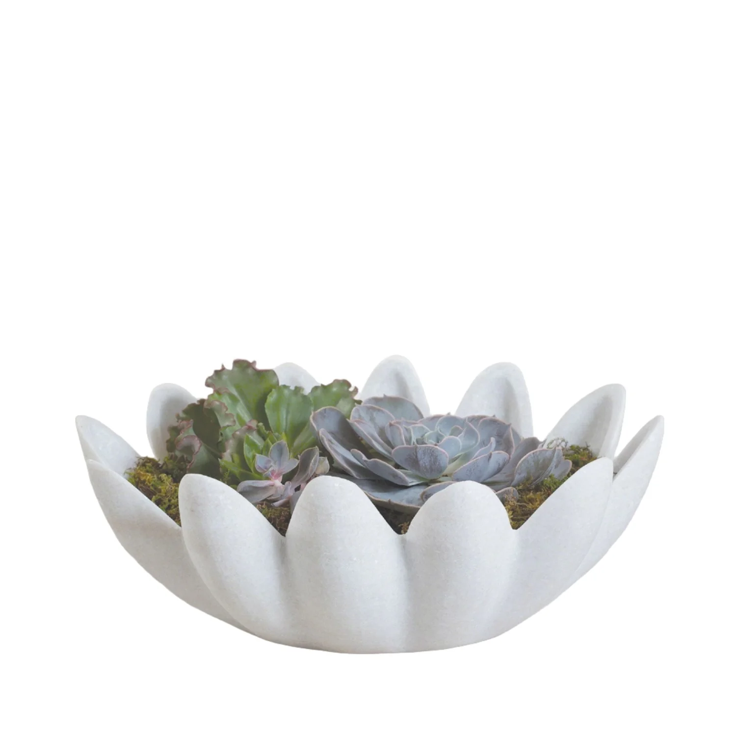 Gingerleaf Bowl
