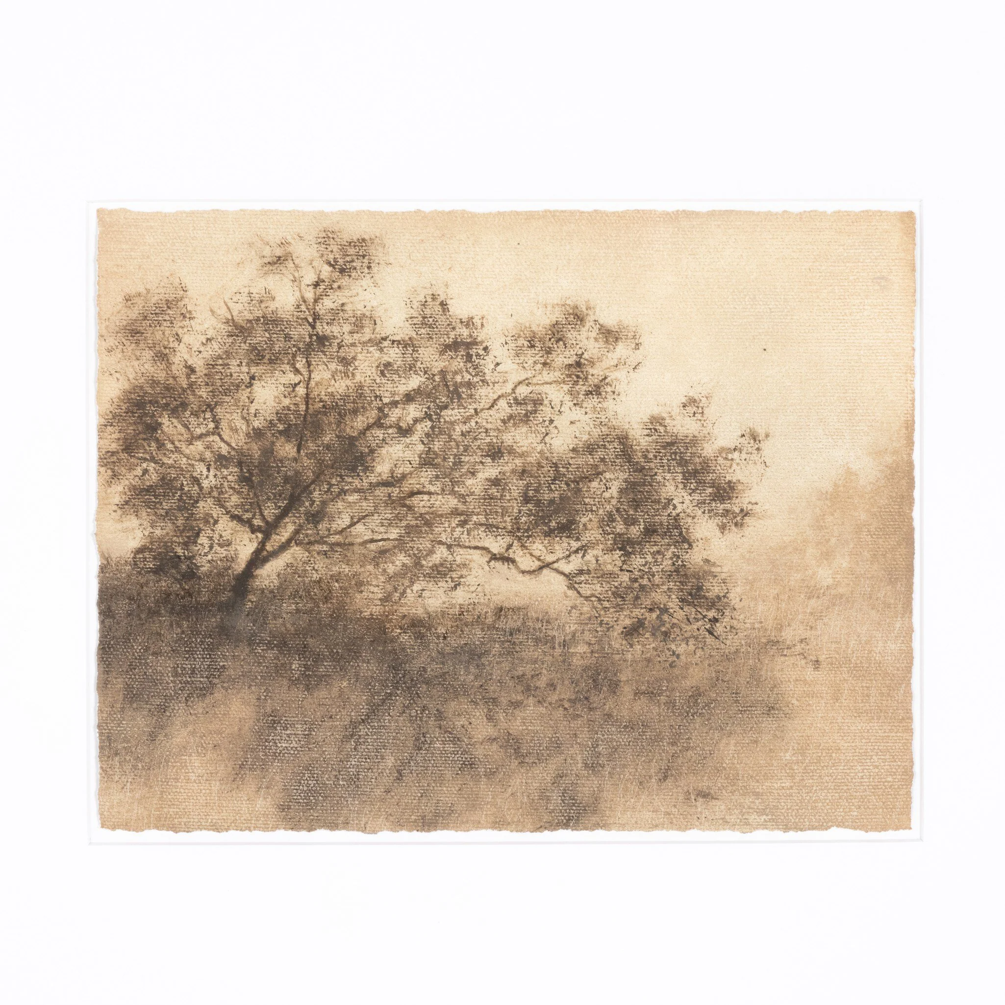 Hillside Haze X by Aileen Fitzgerald - Image 4