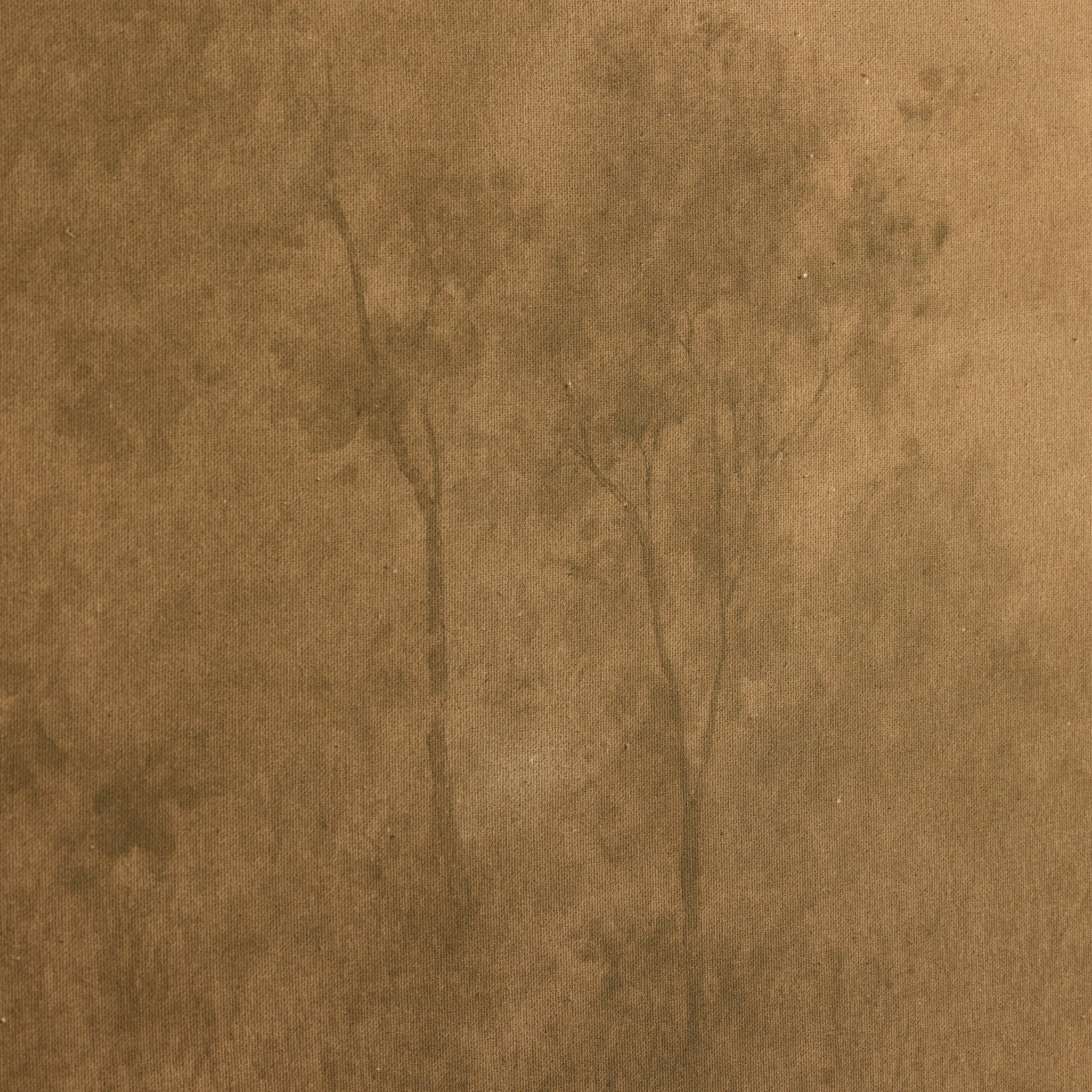 Illuminated by Aileen Fitzgerald - Image 5