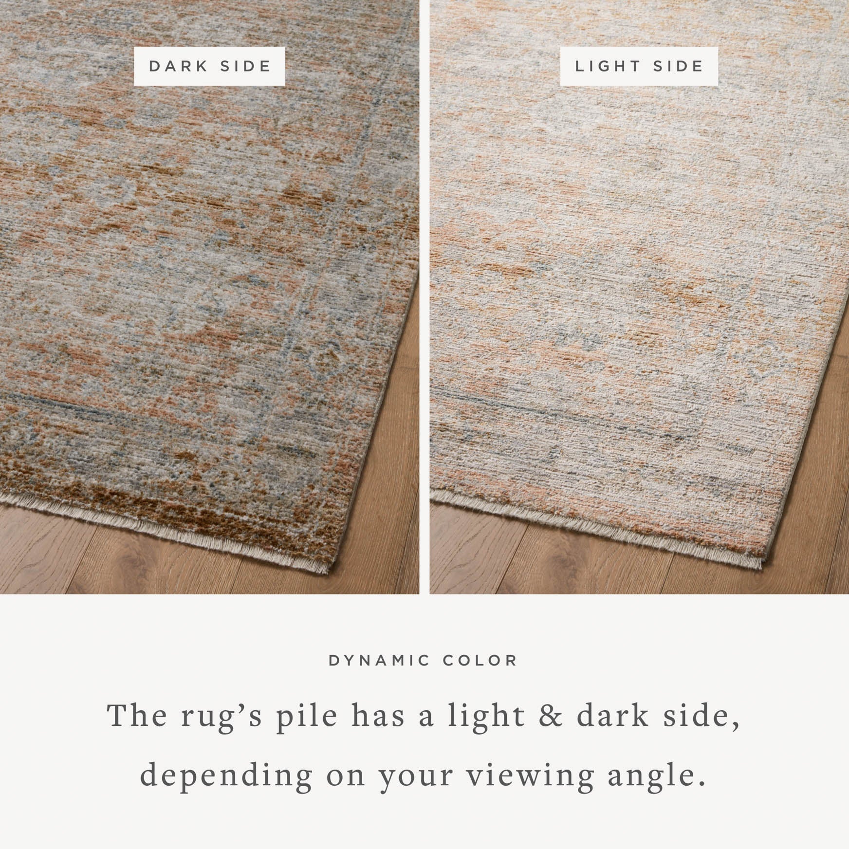 Katherine Terracotta / Smoke Rug | Jean Stoffer x Loloi - Image 7