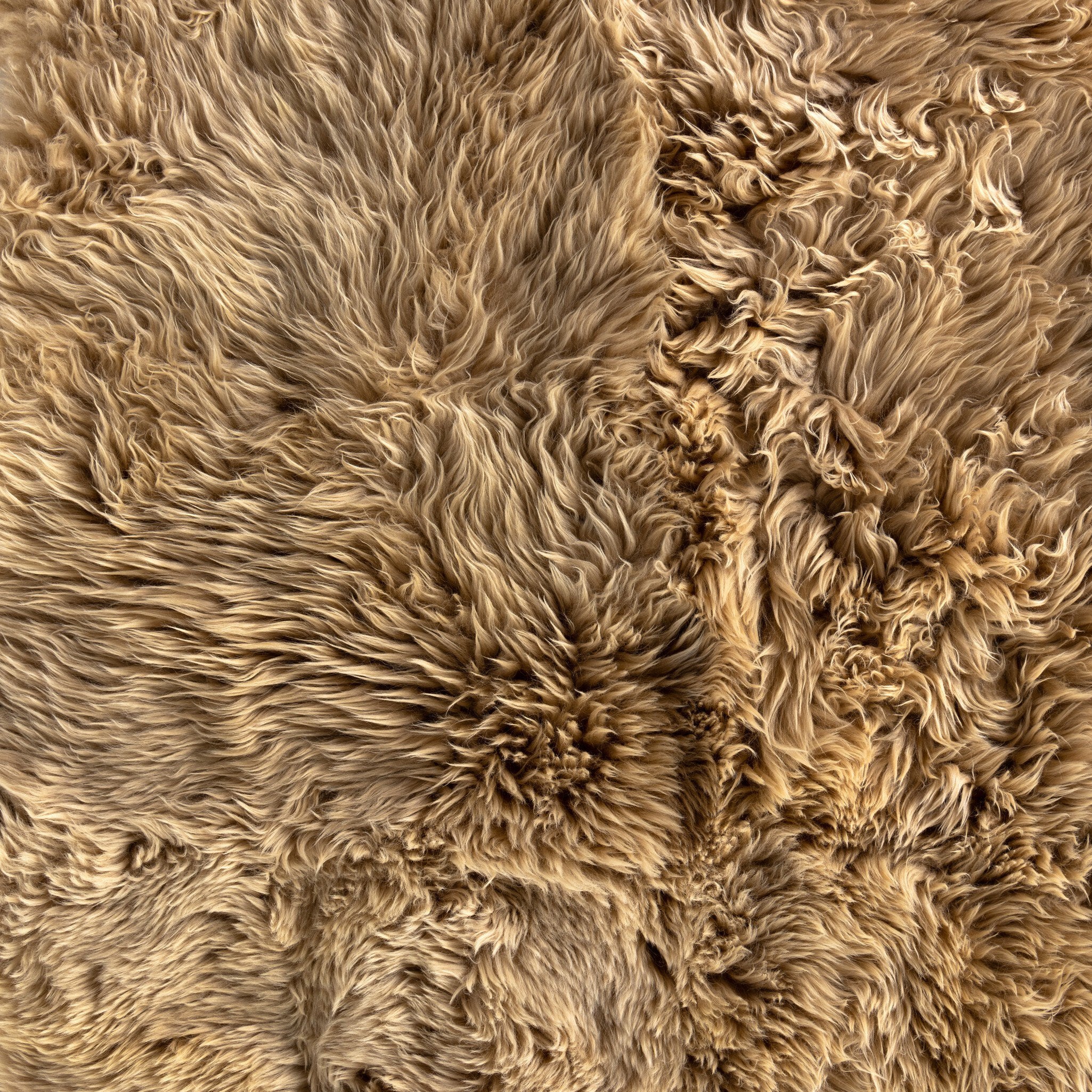 Lalo Lambskin Rug - Image 4