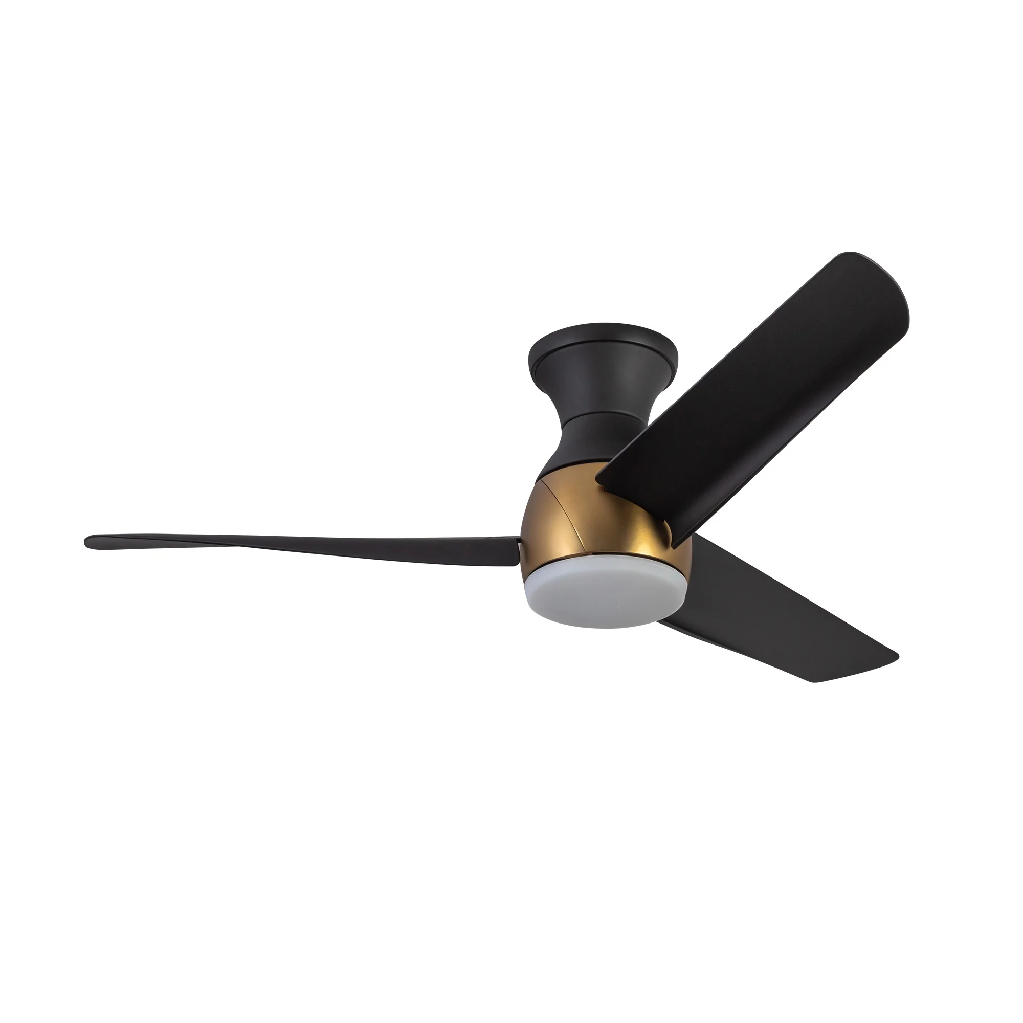 Low Profile - Thalia Fan - Image 6