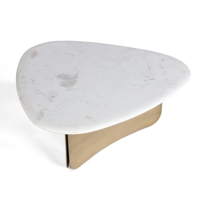 Pablo Coffee Table - Image 3