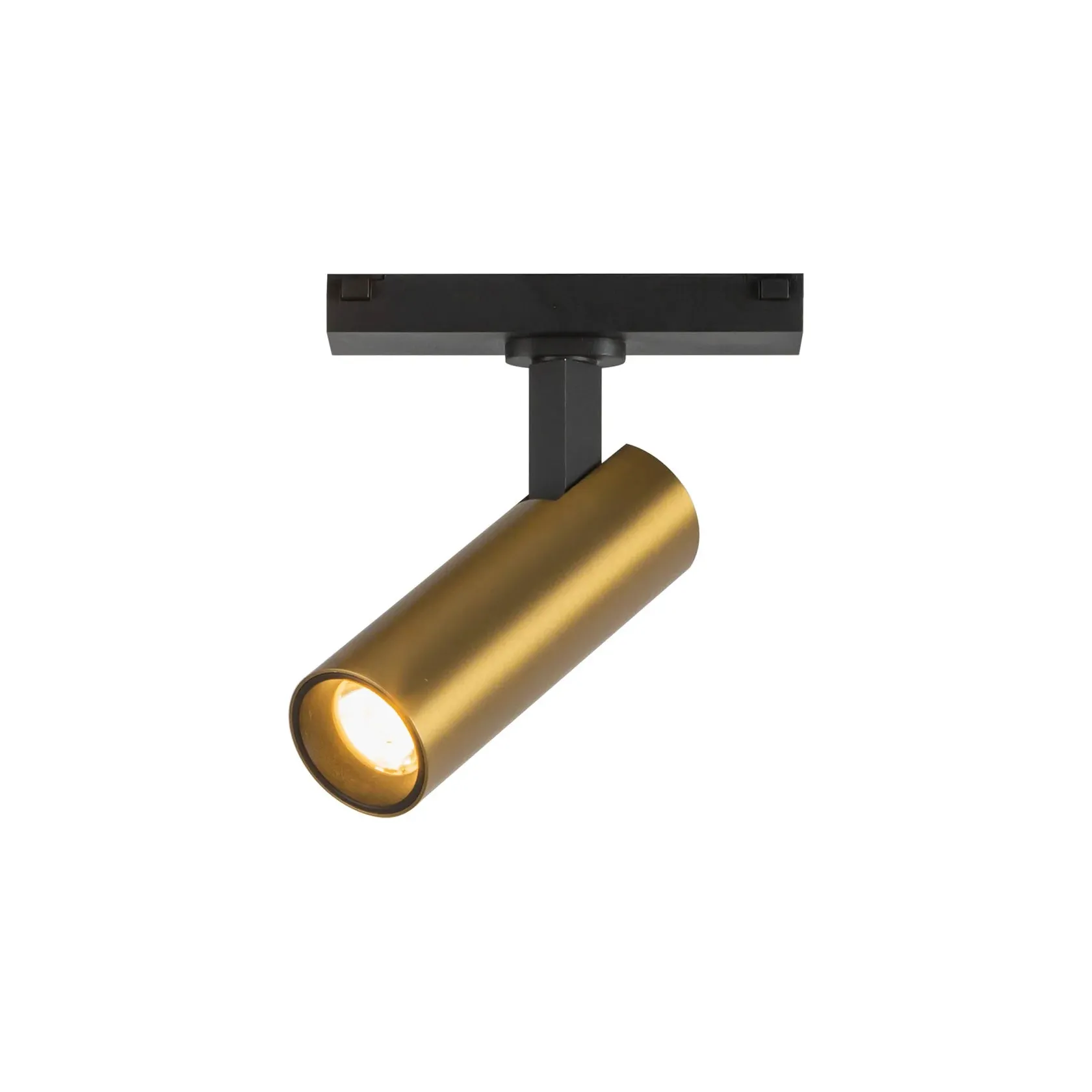 Paolo Trilo Track Directional Light