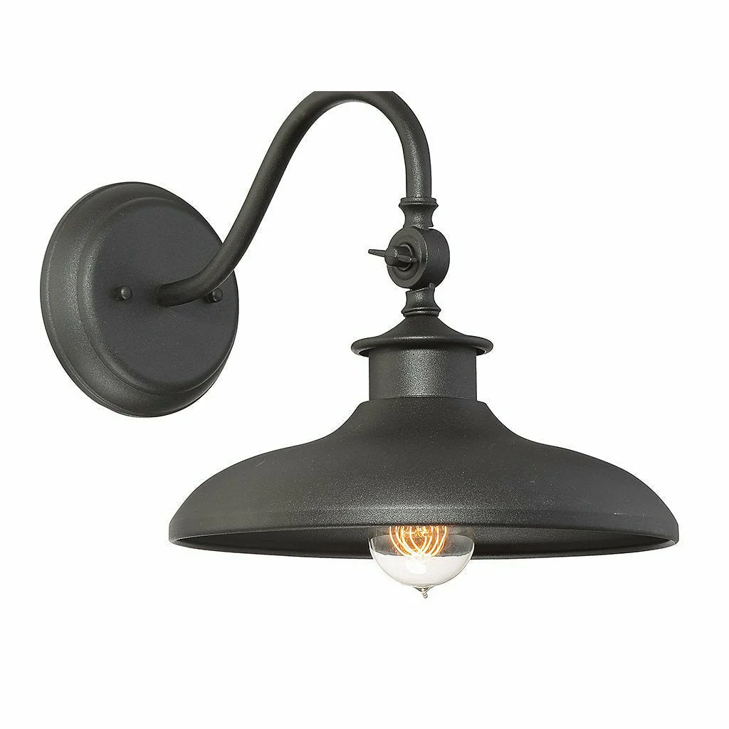 Raliegh 1-Light Outdoor Wall Lantern