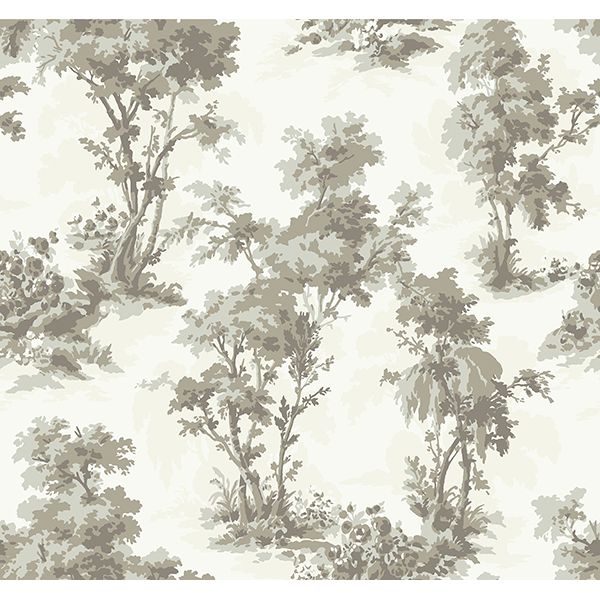Sainsbury Forest Wallpaper - Image 20