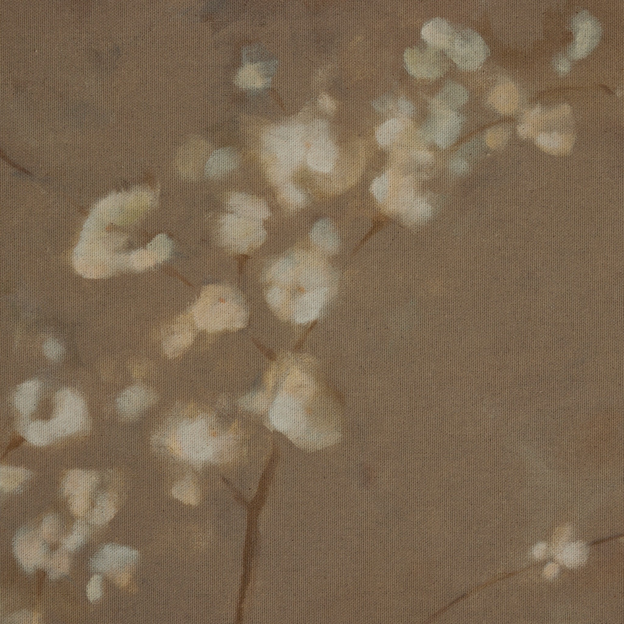 Sakura by Jess Engle - Image 5