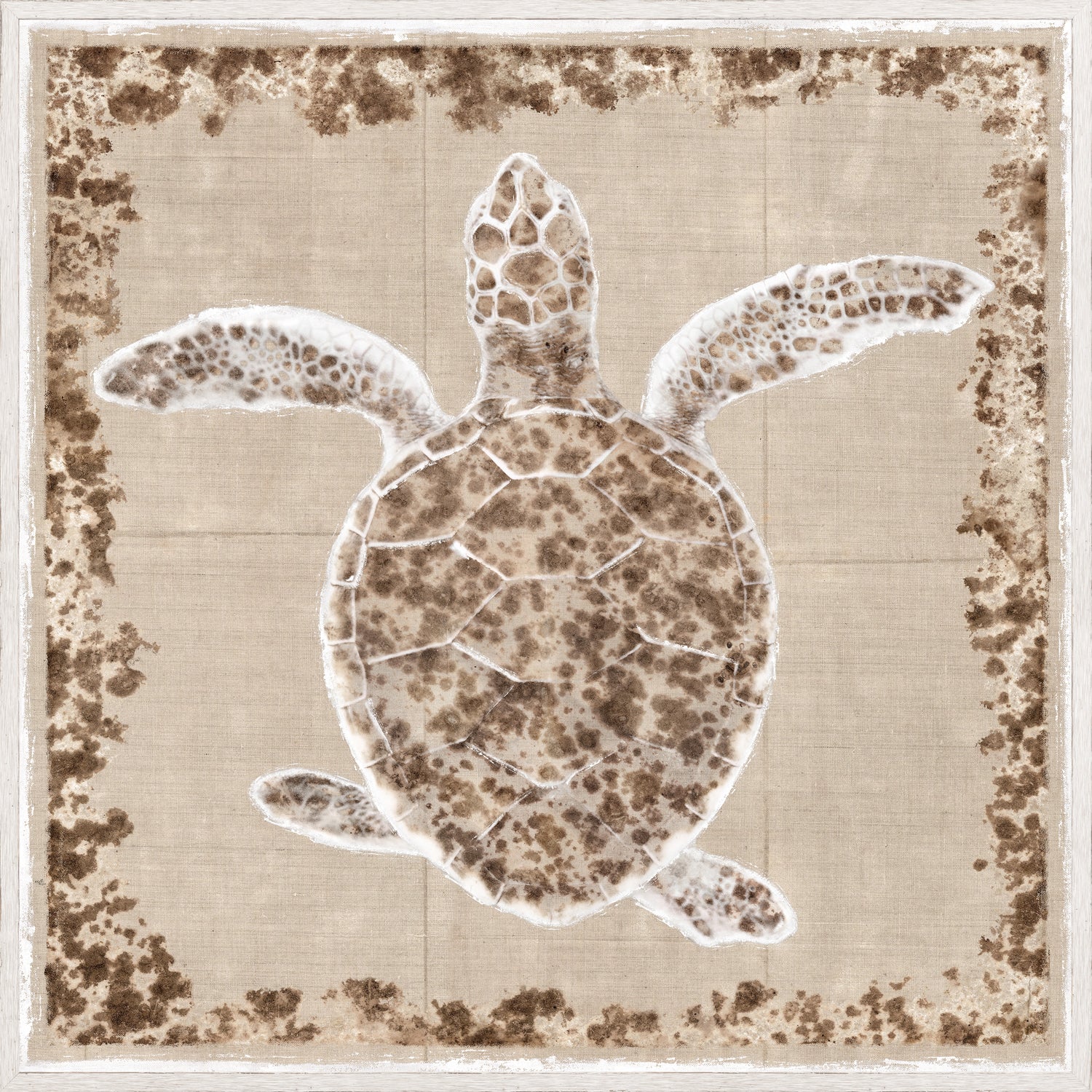 Sea Turtle I - Image 2