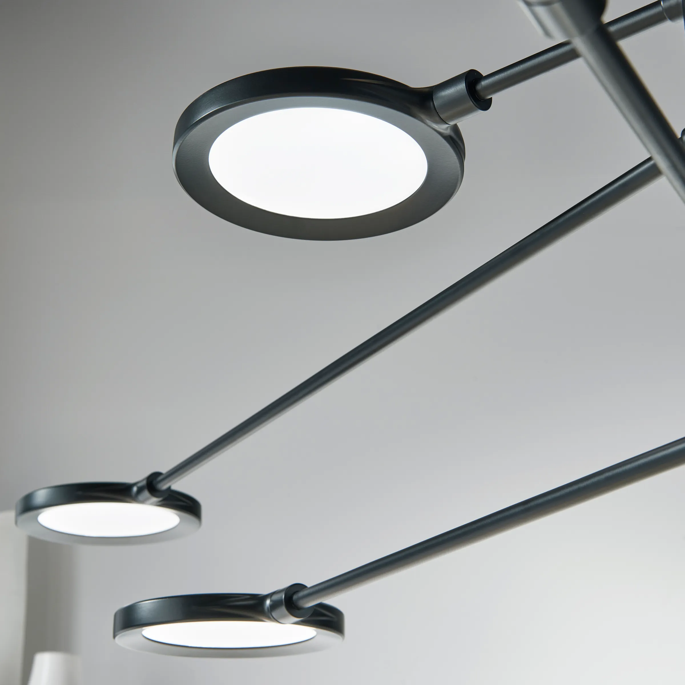 Spectica 8 Chandelier - Image 6