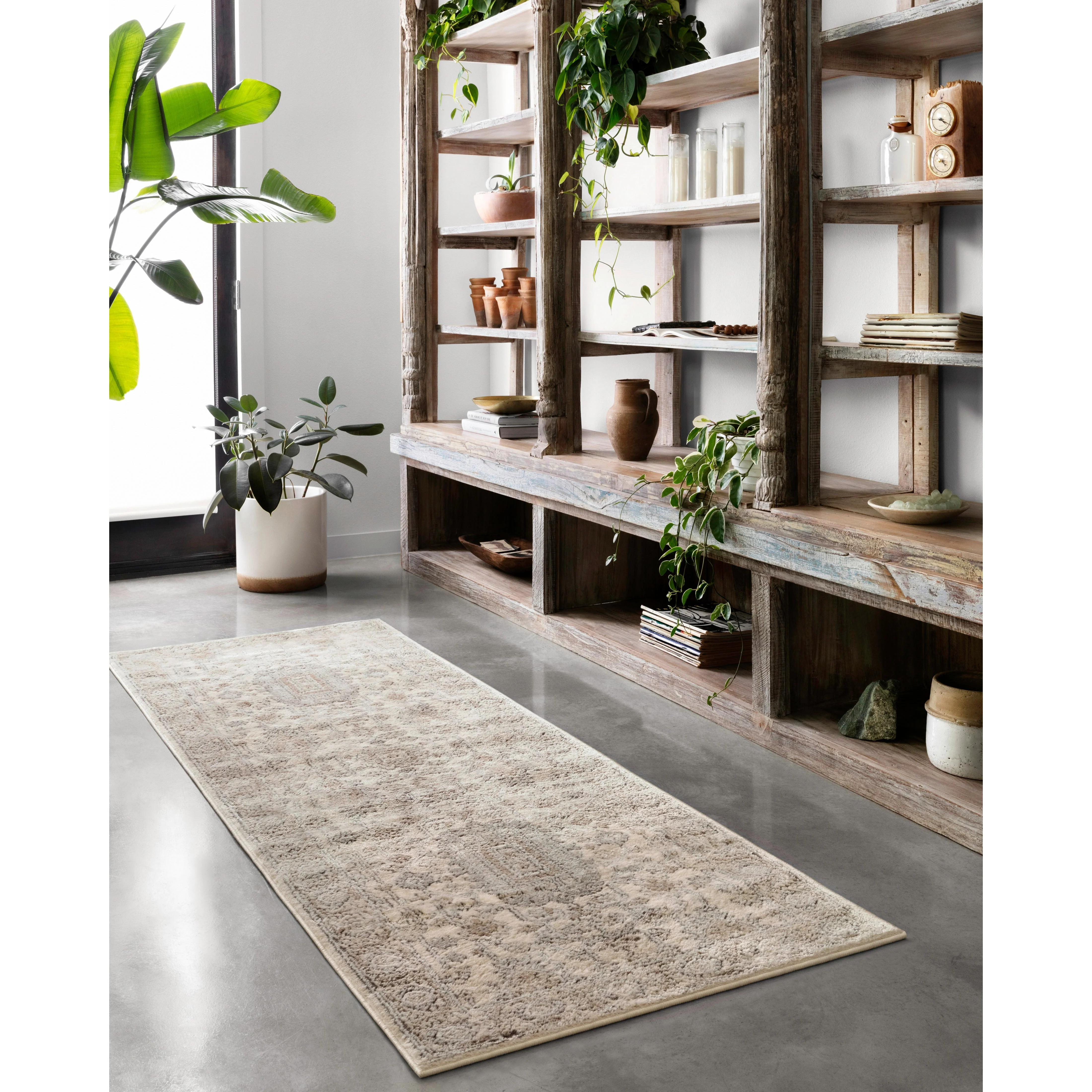 Teagan Ivory / Sand Rug - Image 4