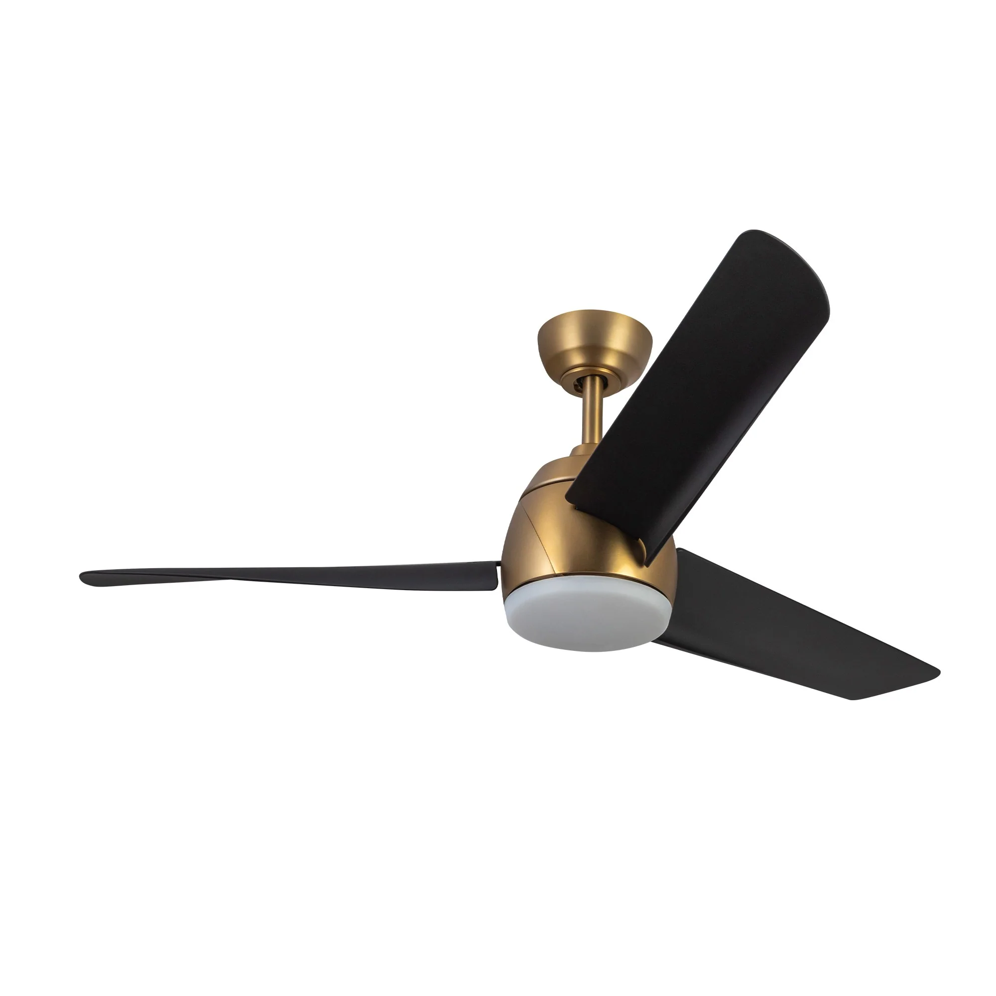 Thalia Fan - Image 6