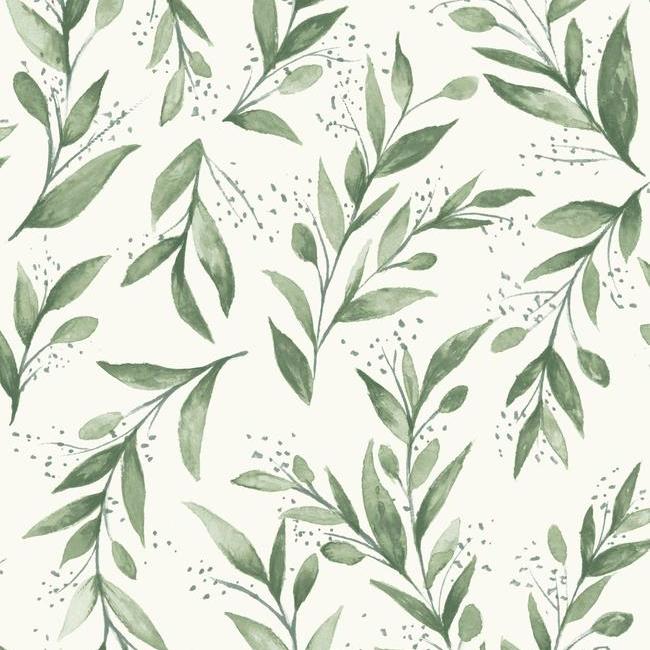 Olive Branch Wallpaper