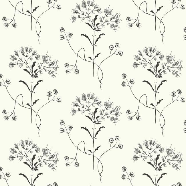 Wildflower Wallpaper