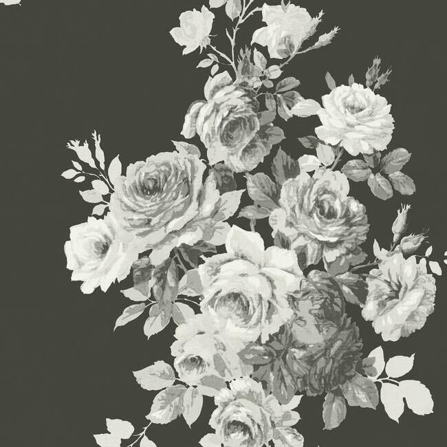 Tea Rose Premium Peel + Stick Wallpaper